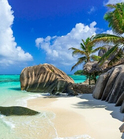 Explore Serene Seychelles