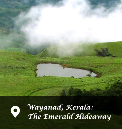 Wayanad, Kerala: The Emerald Hideaway