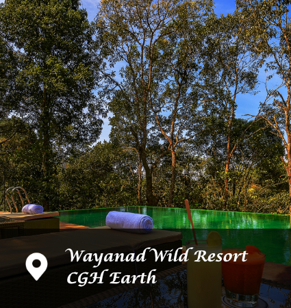 Wayanad Wild Resort CGH Earth