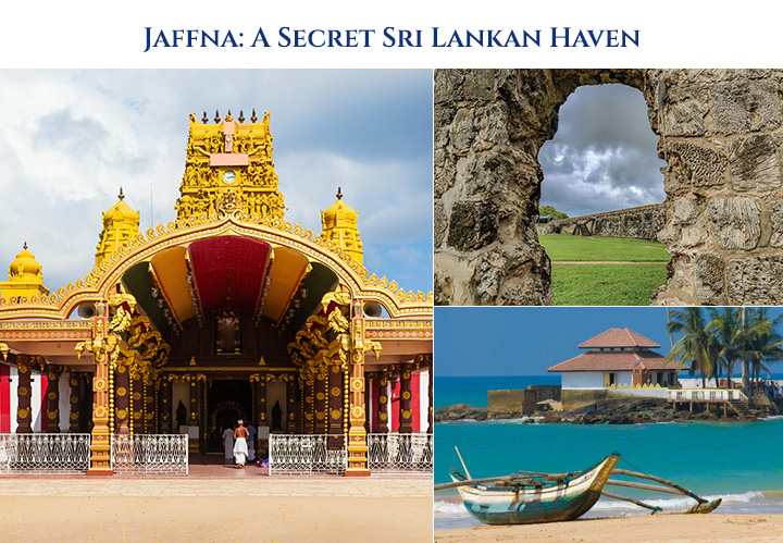 Jaffna: A Secret Sri Lankan Haven