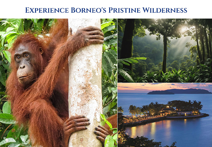 Experience Borneo's Pristine Wilderness