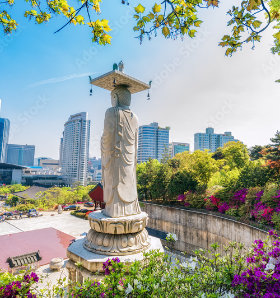 Discover Korea: From Bustling Seoul to Scenic Jeju