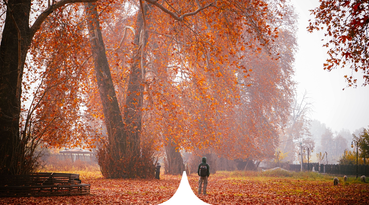 Kashmir - Heritage Sojourn