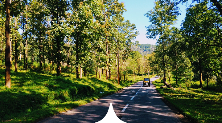 Wayanad - Private Rainforest Villas