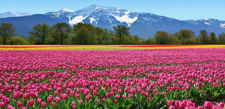 Breathtaking Kashmir