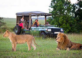 Ultimate Kenya Safari