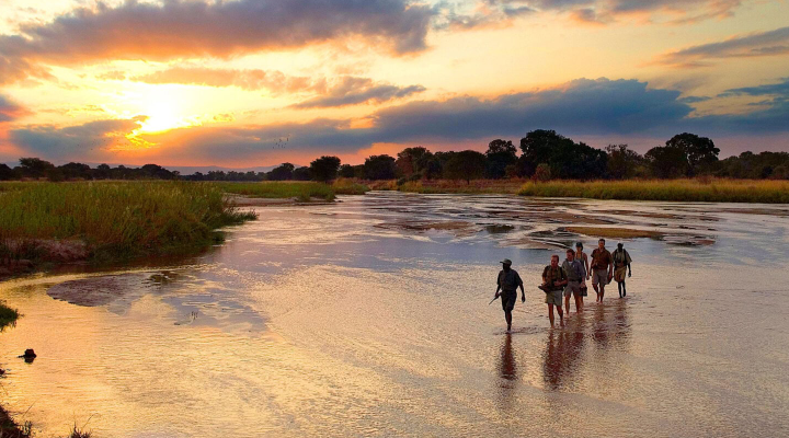 Beyond the Jeep - Walking Safaris in Zambia