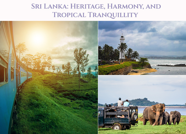 Sri Lanka: Heritage, Harmony, and Tropical Tranquillity