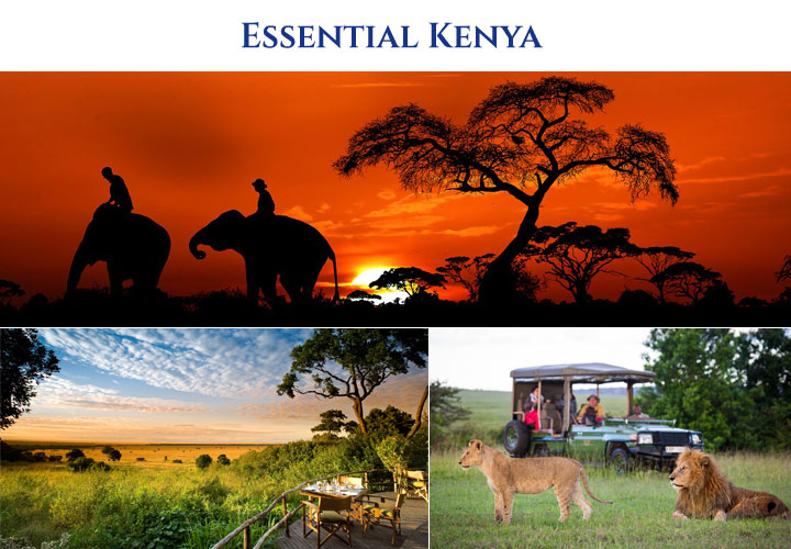 Essential Kenya