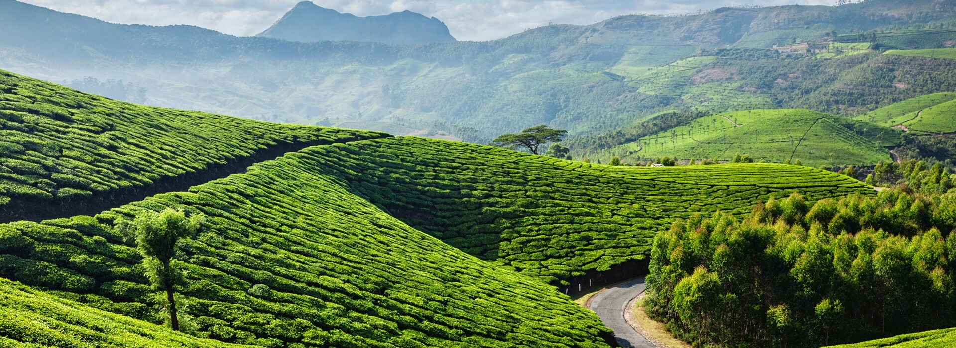 Kerala Vacation Packages | Kerala Holiday Packages | Kerala Luxury Tour ...